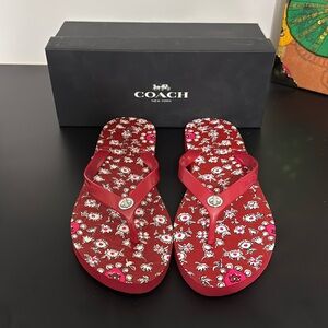 Coach Women's Red Abbigail Floral Red Flip Flops NIB